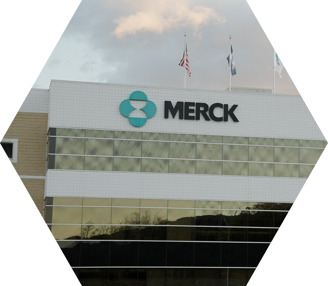 A hexagon-shaped image of a Merck building with its logo and name on the facade, three flags flying on the roof, and a cloudy sky in the background.