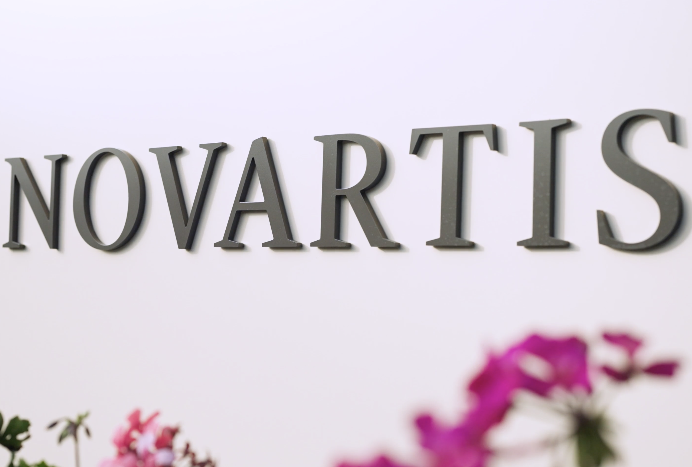 The image shows the word "NOVARTIS" in large, three-dimensional letters on a white wall, with blurred pink and red flowers in the foreground.